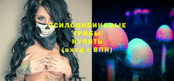 хмурый Белоозёрский