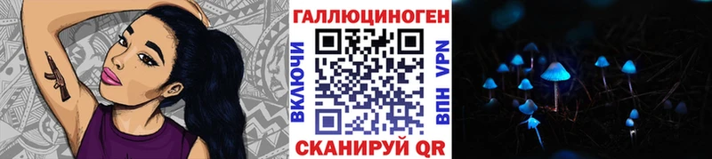 что такое   Шадринск  Галлюциногенные грибы MAGIC MUSHROOMS 