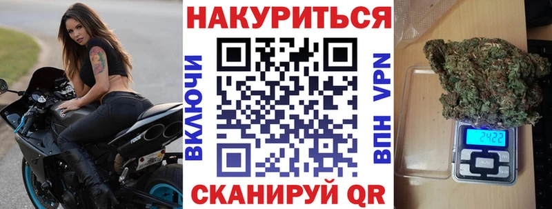 закладки  shop Telegram  Бошки марихуана план  Шадринск 